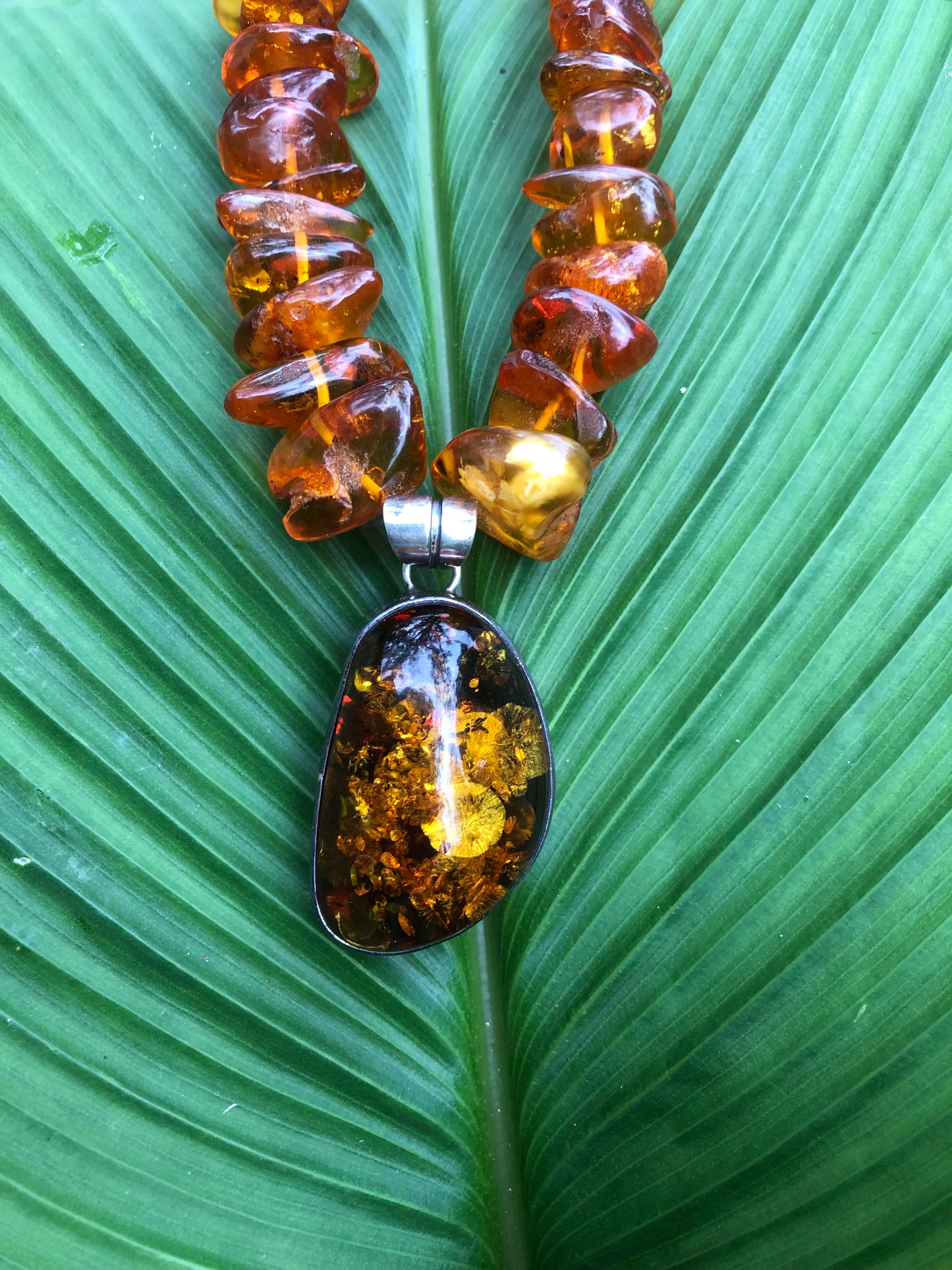 Amber is the Color of Your Energy
