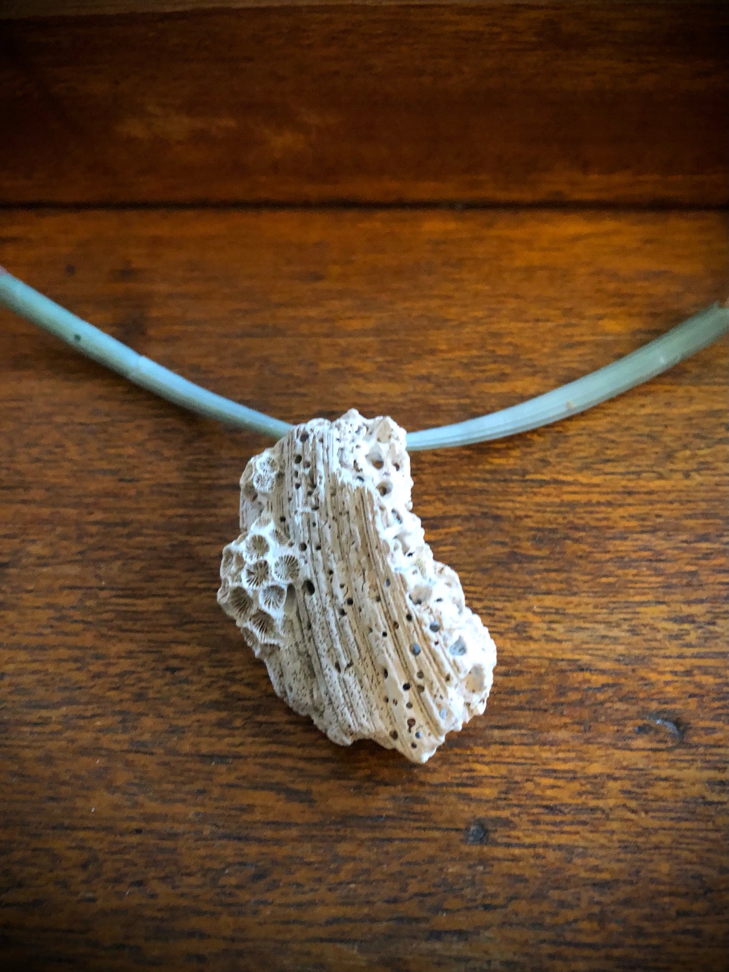 White Coral, Green Dentalium Tusk Shells, Peach Sunstone, & Green Glass Seed Beads