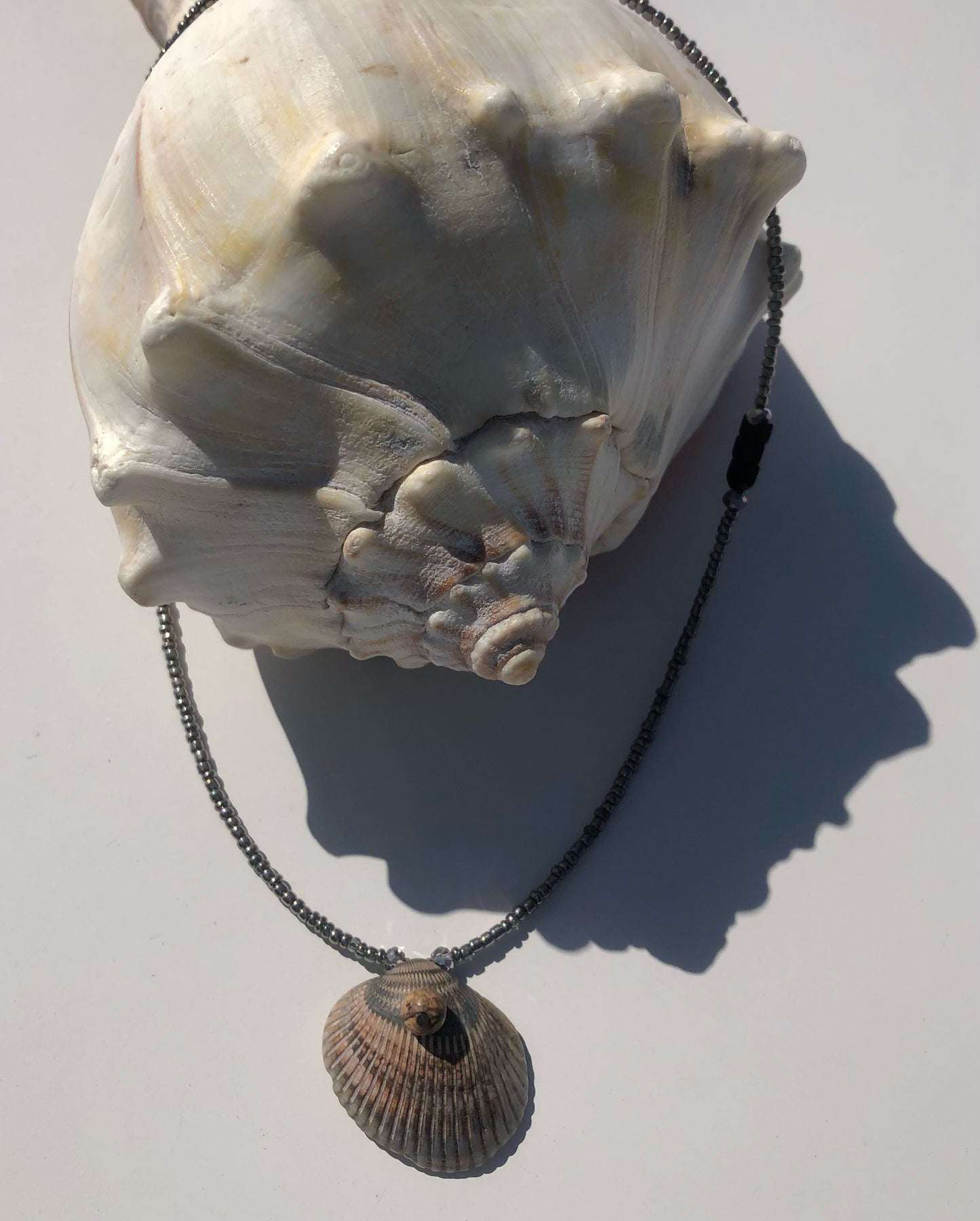 Brindle Seashell Strung w/ Austrian Crystal Beads
