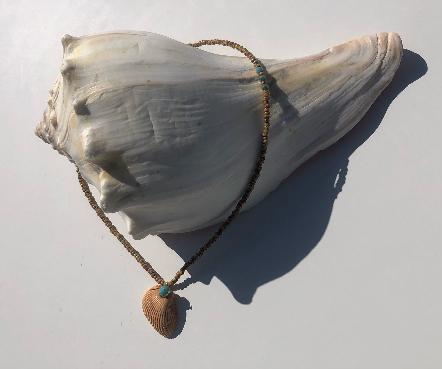 Ark Seashell w/ Sandy Colored Glass Seed Beads