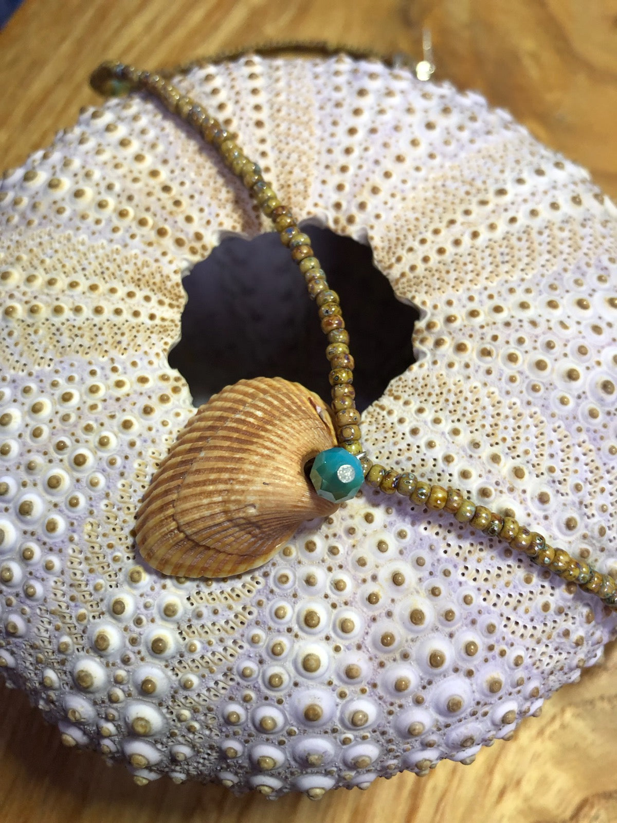 Sandy colored seashell necklace with sand colored glass seed beads and blue glass beads.