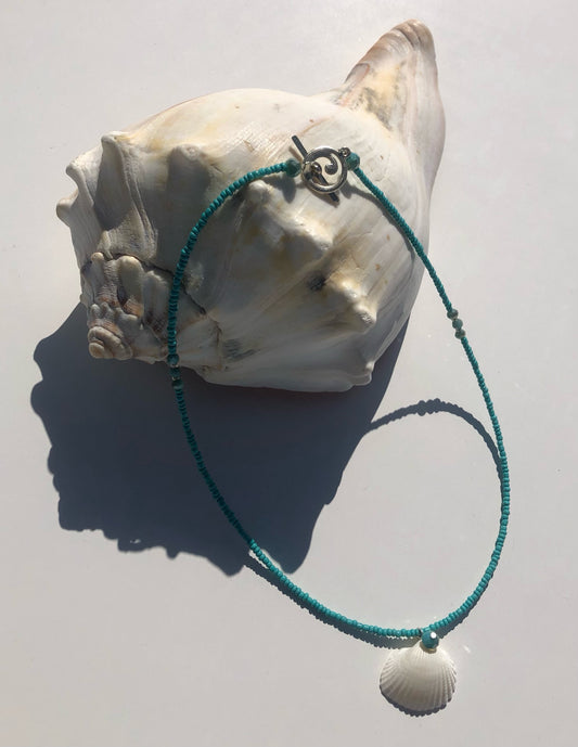 White Ark Seashell Strung w/ Turquoise Glass Seed Beads